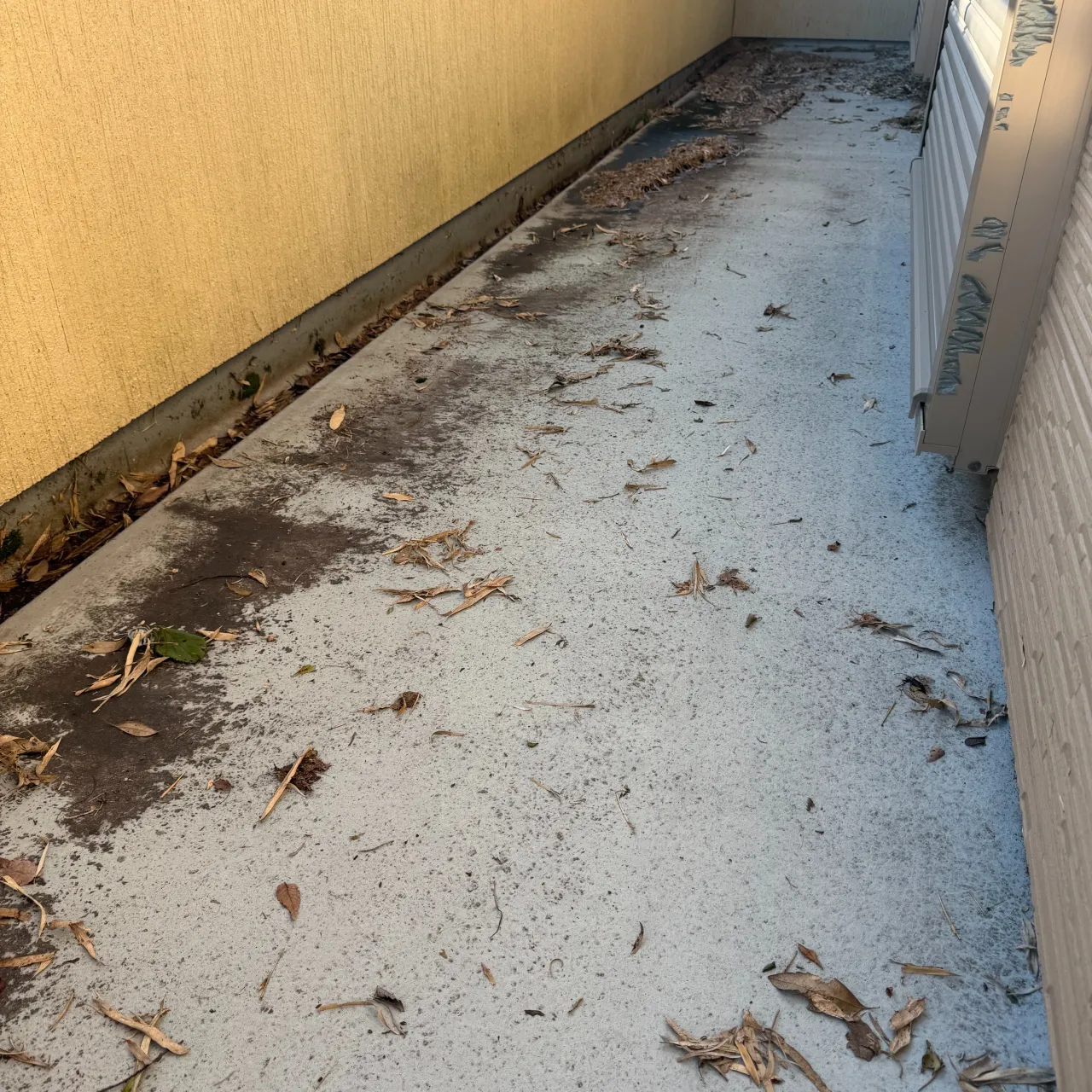 先日の台風25号により被害を受けられた皆様に、心よりお見舞い...